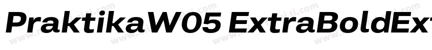 PraktikaW05 ExtraBoldExtIt字体转换